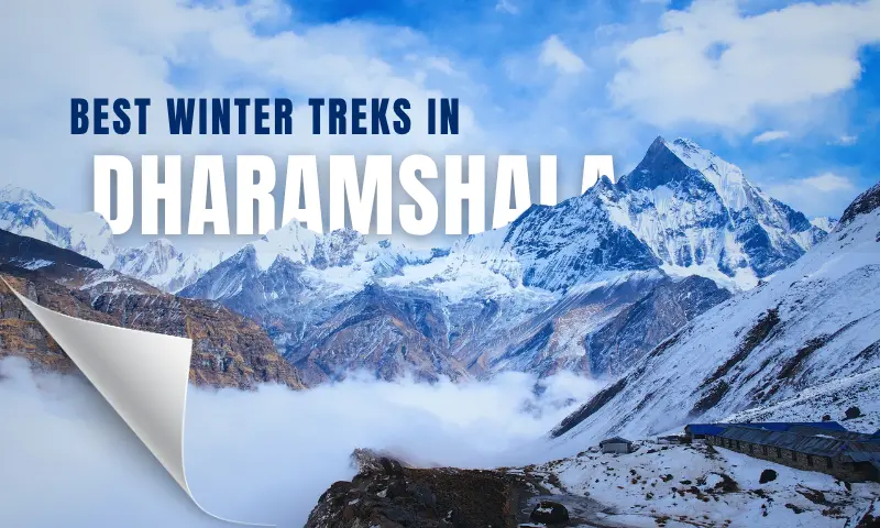winter treks in dharamshala